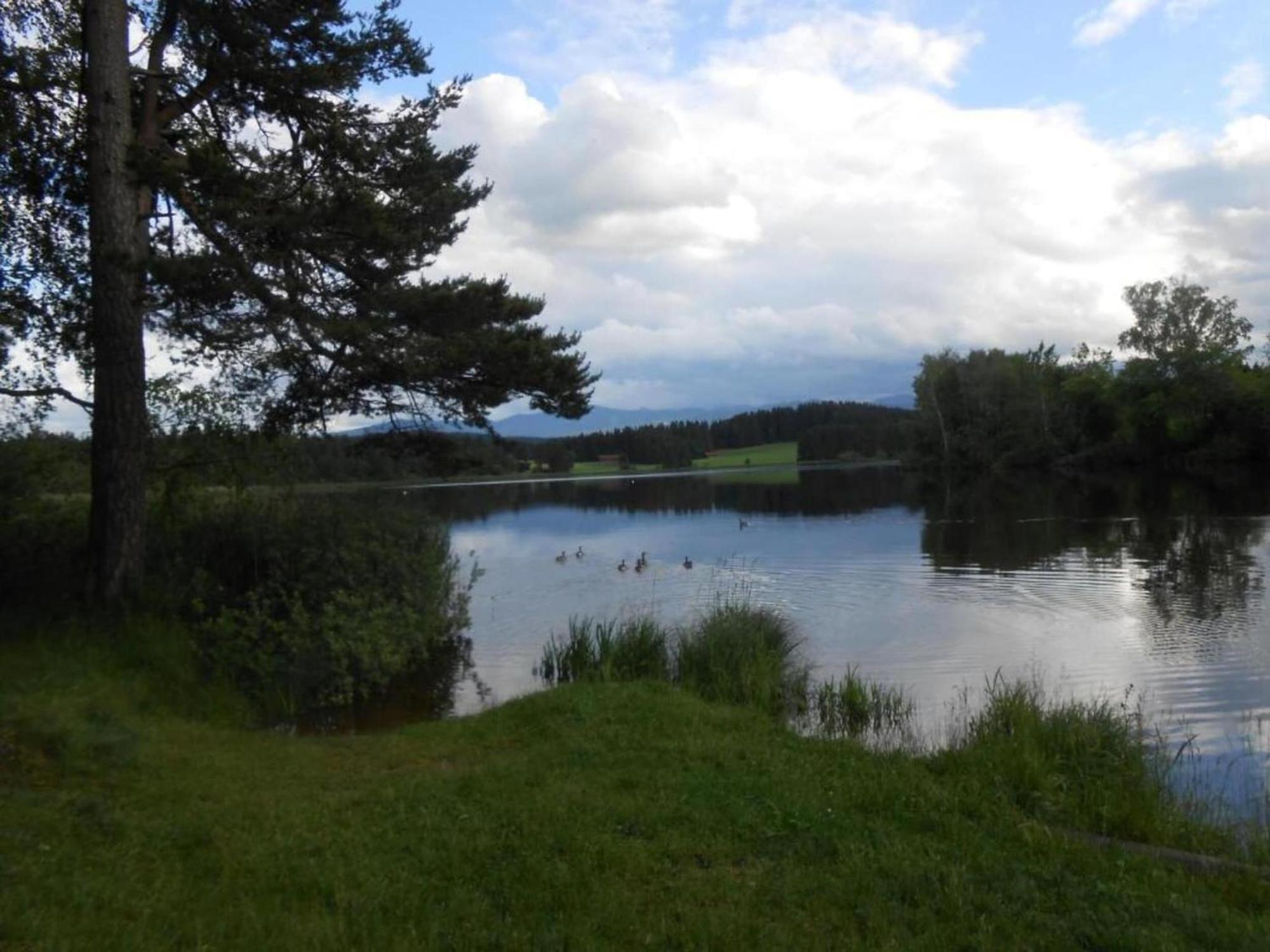 Apartment In The Allg U With View Of The Bavarian Alps 伯拜恩 外观 照片